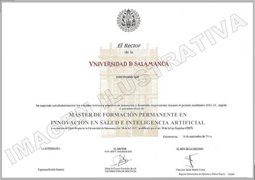 MISIA_Diploma