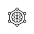 brain
