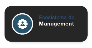 E Management